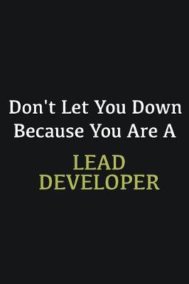 Book cover for Don't let you down because you are a Lead developer