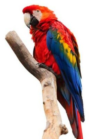 Cover of Scarlet Macaw Perched on a Long Branch (for the Love of Parrots)