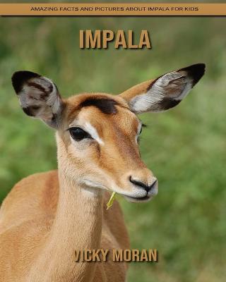 Book cover for Impala