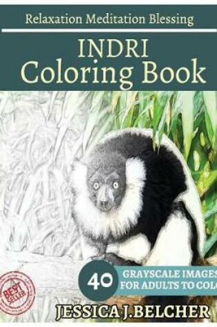 Cover of Indri Coloring Book for Adults Relaxation Meditation Blessing