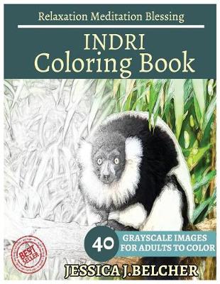 Book cover for Indri Coloring Book for Adults Relaxation Meditation Blessing