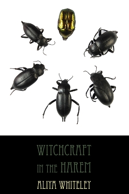 Book cover for Witchcraft in the Harem