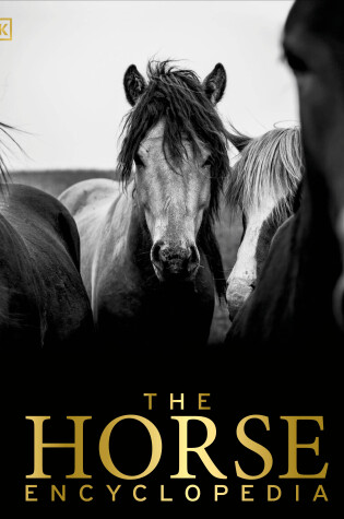 Cover of The Horse Encyclopedia