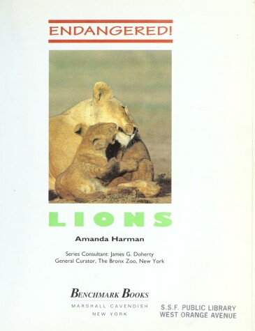 Book cover for Lions