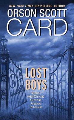 Book cover for Lost Boys