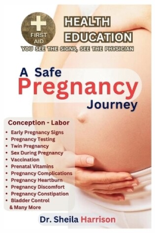 Cover of A Safe Pregnancy Journey