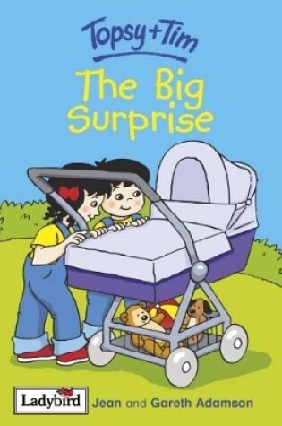 Cover of The Big Surprise