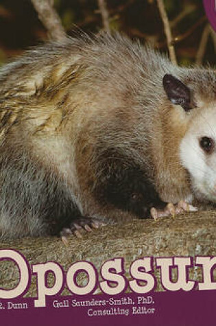 Cover of Opossums