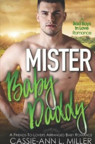 Cover of Mister Baby Daddy