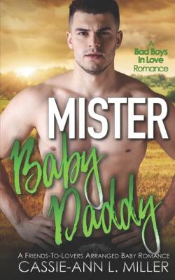 Book cover for Mister Baby Daddy