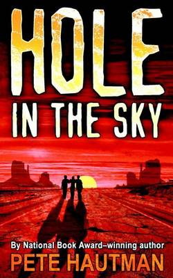 Book cover for Hole in the Sky