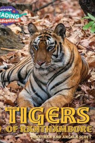 Cover of Cambridge Reading Adventures Tigers of Ranthambore Gold Band