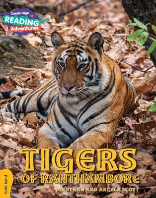 Book cover for Cambridge Reading Adventures Tigers of Ranthambore Gold Band