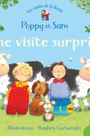 Cover of Une visite surprise