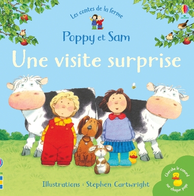 Book cover for Une visite surprise