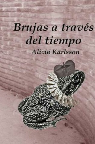 Cover of Brujas a través del tiempo