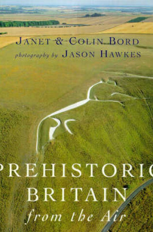 Cover of Pre-historic Britain from the Air