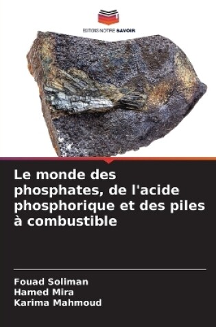 Cover of Le monde des phosphates, de l'acide phosphorique et des piles à combustible