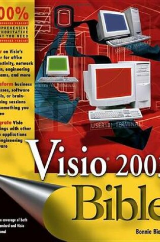 Cover of VISIO 2003 Bible