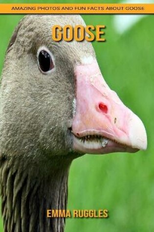 Cover of Goose