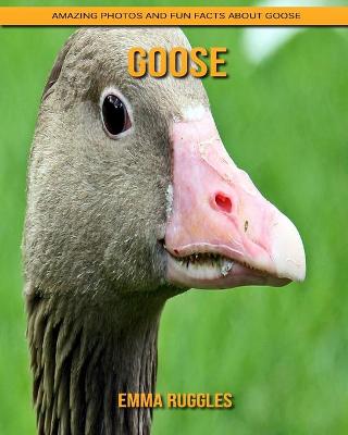 Book cover for Goose