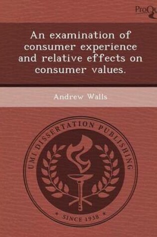 Cover of An Examination of Consumer Experience and Relative Effects on Consumer Values