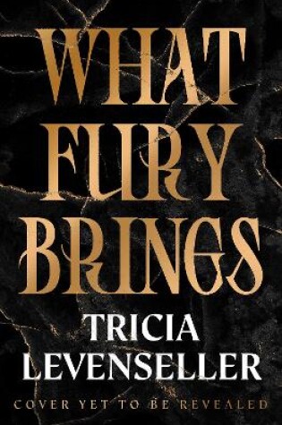 Cover of What Fury Brings