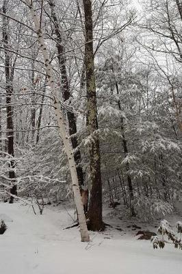 Cover of Journal Scenic Winter Weather White Birch Tree