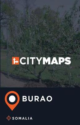 Book cover for City Maps Burao Somalia