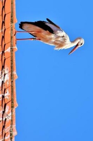 Cover of Stork on a Red Tile Roof Journal