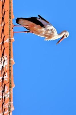 Book cover for Stork on a Red Tile Roof Journal