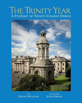 Book cover for The Trinity Year