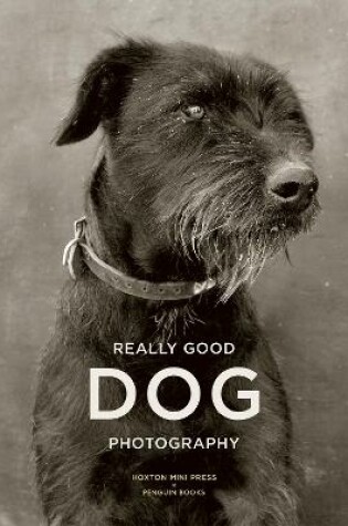 Cover of Really Good Dog Photography