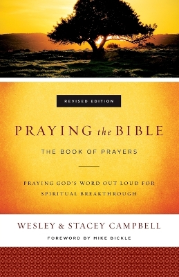 Book cover for Praying the Bible