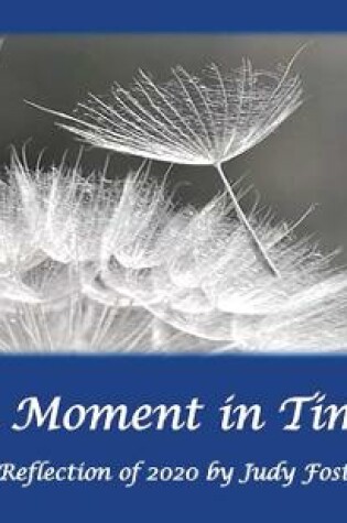 Cover of A Moment in Time