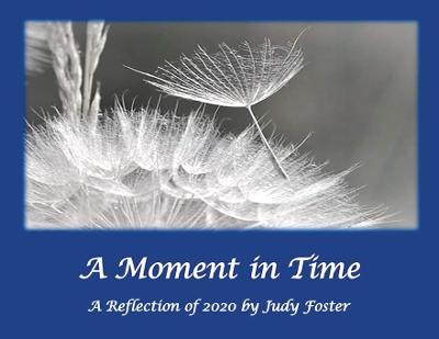 Book cover for A Moment in Time