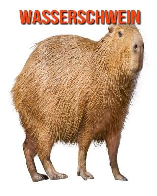 Book cover for Wasserschwein