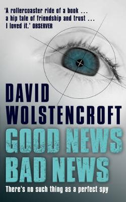 Book cover for Good News, Bad News