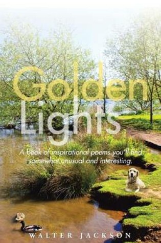 Cover of Golden Lights