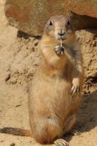 Cover of Black-Tailed Prairie Dog Checking Things Out Journal