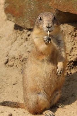 Book cover for Black-Tailed Prairie Dog Checking Things Out Journal