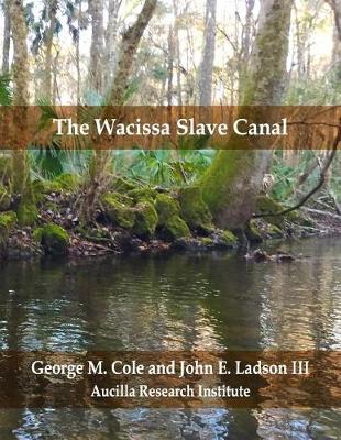 Book cover for The Wacissa Slave Canal