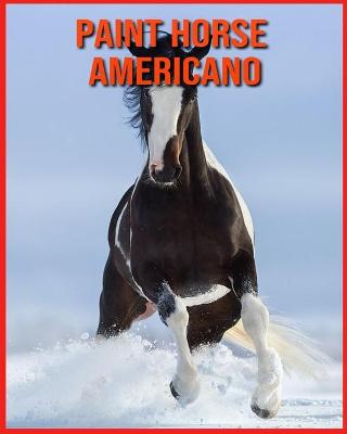 Book cover for Paint Horse Americano