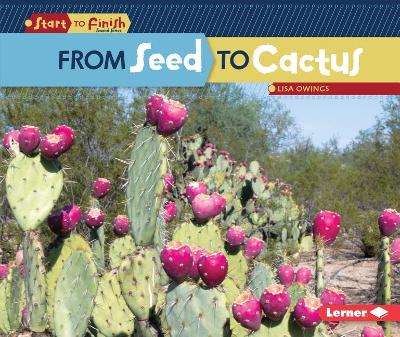 Cover of From Seed to Cactus