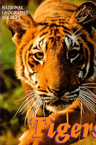 Cover of Animal Safari