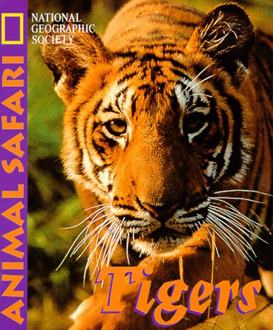 Book cover for Animal Safari