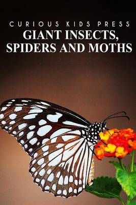 Book cover for Giant Insects, Spiders and Moths - Curious Kids Press