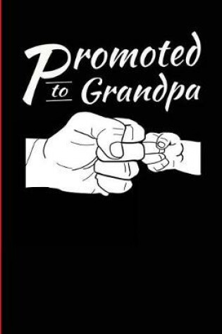 Cover of Promoted to Grandpa