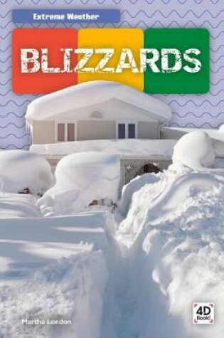 Cover of Blizzards