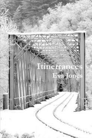 Cover of Itinerrances